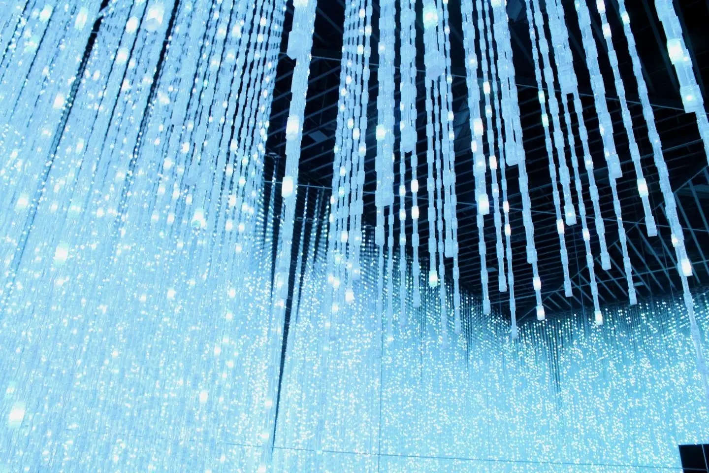 Digital Art Museum TeamLab Borderless