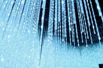 Digital Art Museum TeamLab Borderless