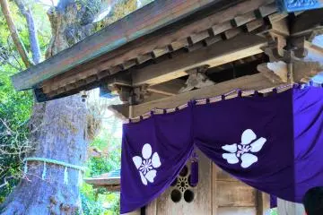 The entrance to the shrine