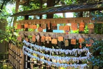 Fortunes on display