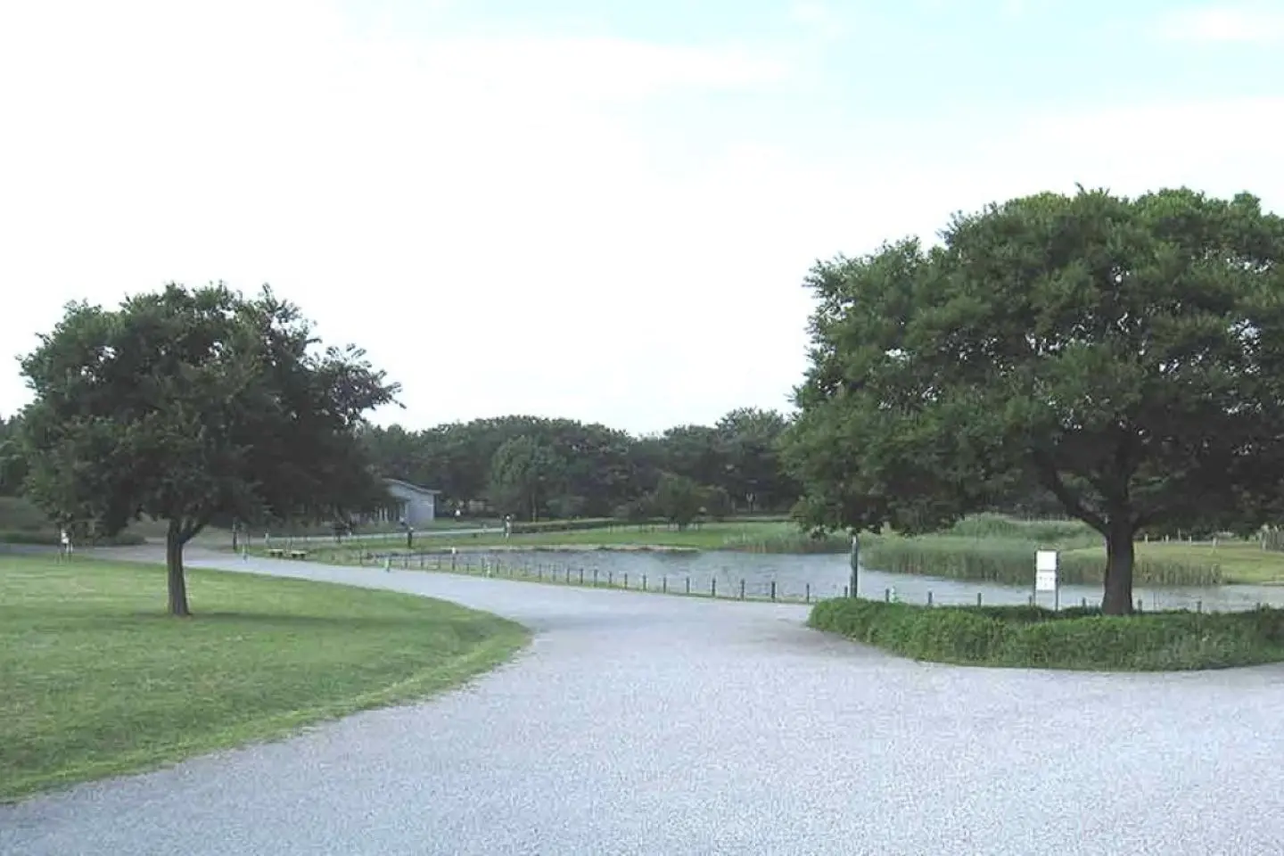 The 2020 Olympic Games: Musashino-no-mori Park