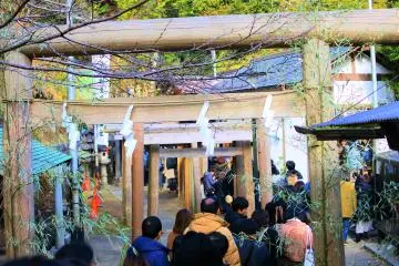 Gallery image