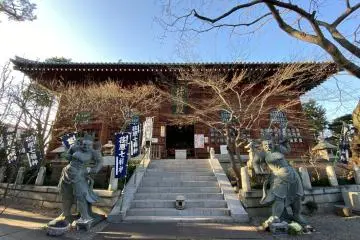 Gallery image