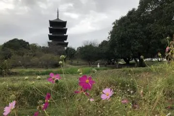 La pagode du temple Bitchu-Kokubunji