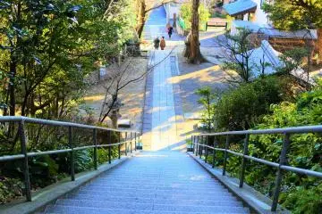 The long stairs