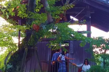 飛鳥寺的梵鐘