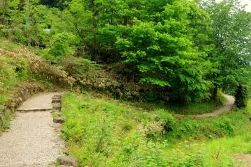 The path heads into the forest.