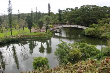 <p>In addition to the lily covered water garden, there are two large ponds to walk around and over</p>