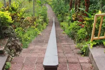 <p>There is a tram available to whisk visitors around the park for a 500 yen fee, but trails like this will be missed unless going foot mobile</p>