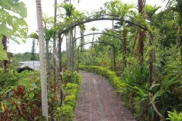 <p>There's a variety of paths and walkways to explore; this one is growing into an archway, slowly</p>