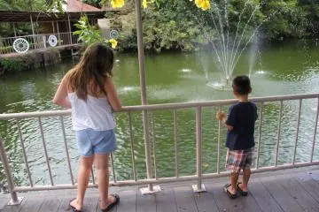 <p>Feed the fish for 100 yen</p>