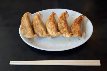Pan fried gyoza