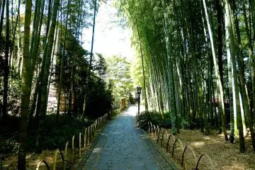 <p>สถานที่ที่สดชื่นและมีเวทมนตร์</p>