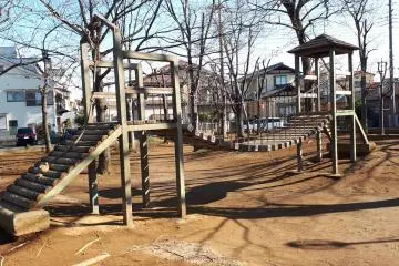 Jungle gym