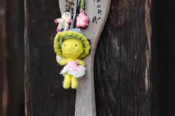The rice scooper