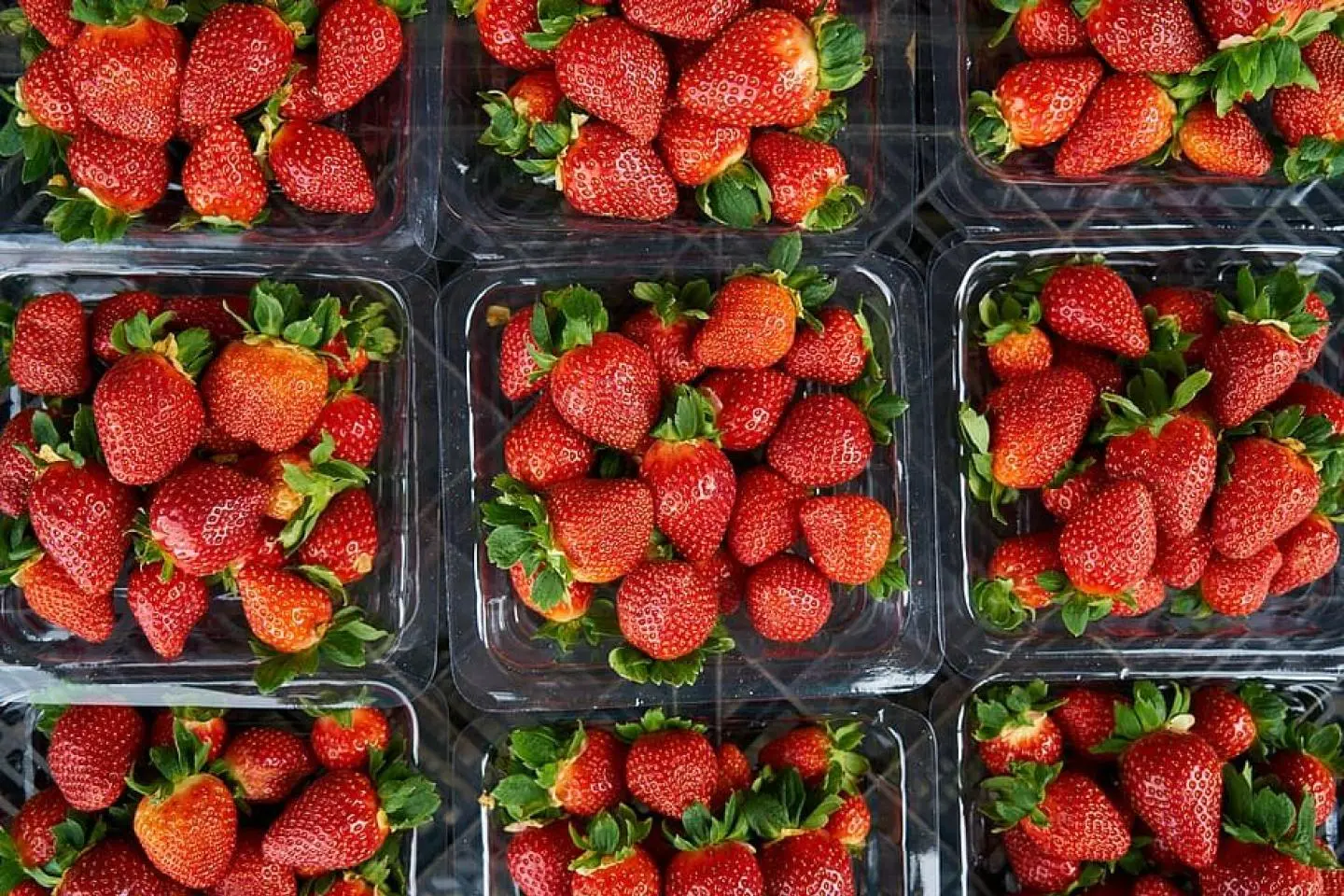 Yokohama Strawberry Festival 2027