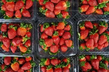 If you love strawberries, this festival is one not to miss (Photo: enginakyurt / Shutterstock.com)
