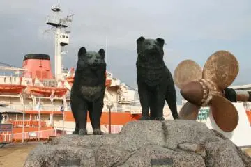 Arctic sled dogs, national heroes Taro and Jiro.