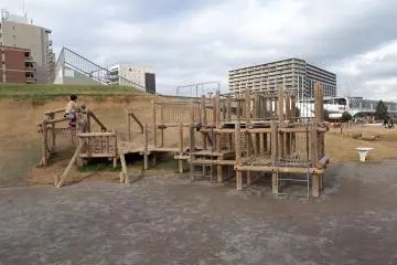 Great jungle gym equipment