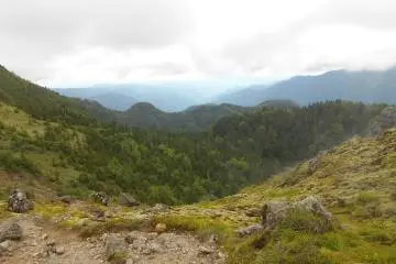 View close to the top