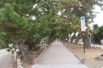 Miho-no-Matsubara in Shimizu