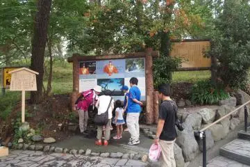 Tourists gather to read about the area's history