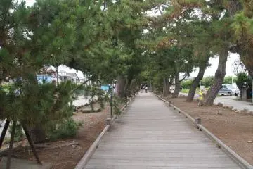The start of the "God's Path" from Miho Shrine to the Hagoromo Pine Tree