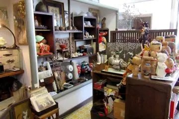 Gallery image
