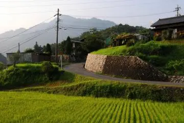 ด้านนอกของเมืองเต็มไปด้วยนาข้าว