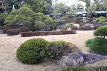 Elegant landscaping