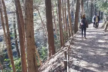 Sunlit hiking trail up the mountain