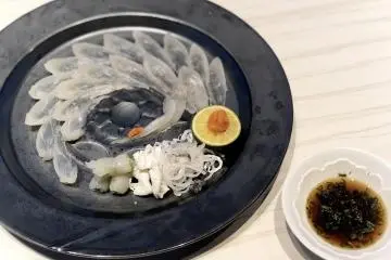 Fugu (Pufferfish) Sashimi