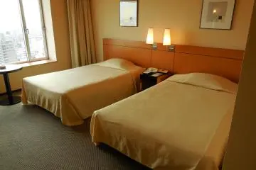 The Superior Twin room