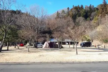 Tent sites