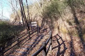 Easy nature trail