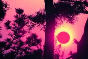 Rising sun in Japan