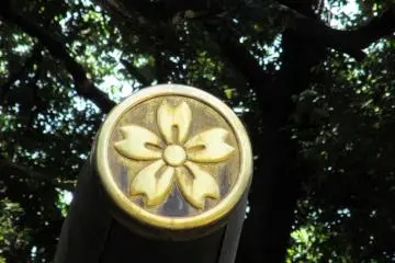 A round emblem with a sakura image