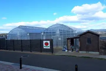 Tomato House