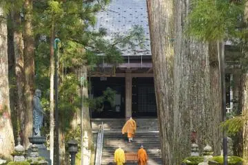 와카야마의 달콤한 영혼