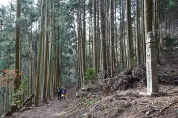 Andando por los viejos caminos de peregrinación de Koyasan