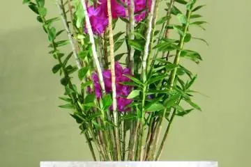 There are an amazing number of flowers to appreciate