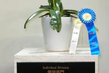 Plenty of prize winning plants will be displayed