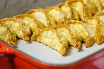 A celebration of gyoza!