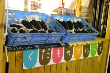 <p>เมืองนี้มีชื่อเสียงสำหรับการปลูกผลไม้ เช่น สตรอเบอร์รี่ และองุ่น</p>