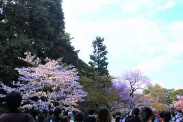 Scenery at Inui-mon street