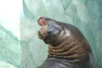 Edogawa Natural Zoo