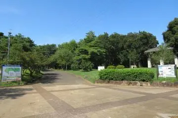 Wako Jurin Park