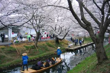 Shingashi River