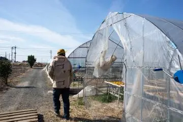 Touring the sweet potato farm at Nousanbutsu Kakou Konya