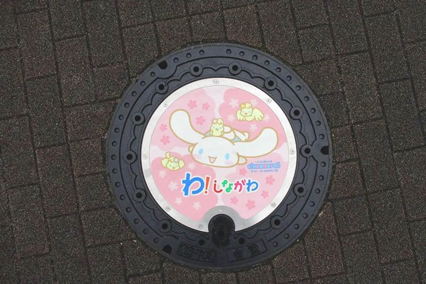 Cherry blossoms (照片由: Shinagawa Tourism Association)